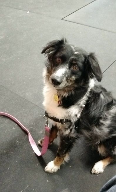 Fur baby friday!