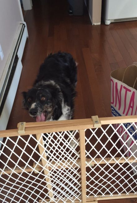 NWR: Happy Furry Fursday, let's see them fur babies!