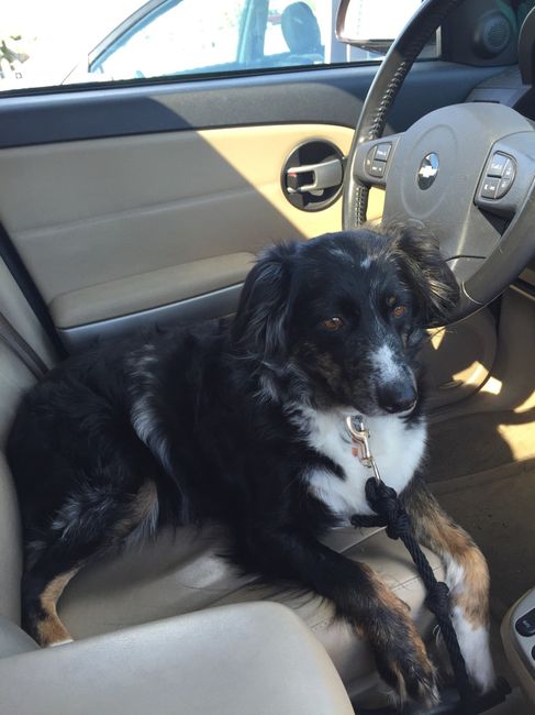 NWR - Furbaby Friday