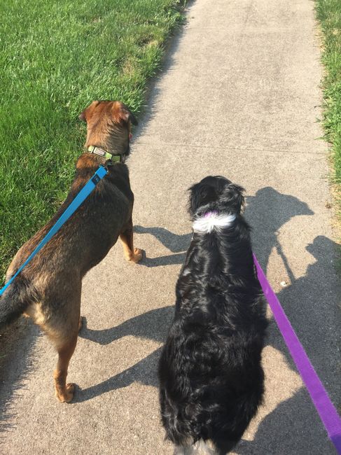 NWR: Happy Fursday!