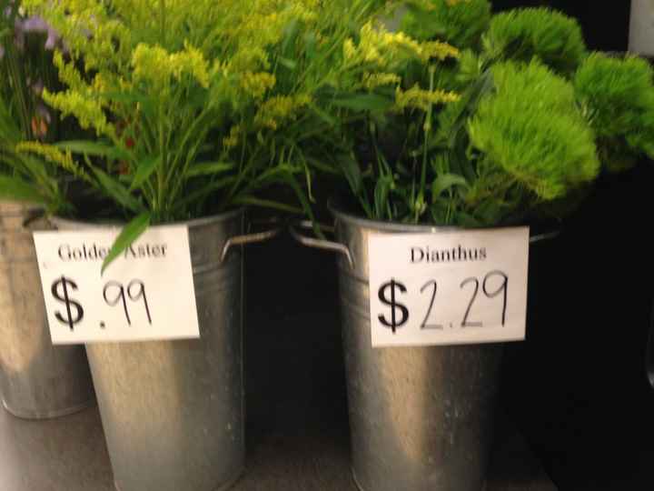 DIY Bouquets and Centerpieces in Primarily Green - Ideas/Thoughts?