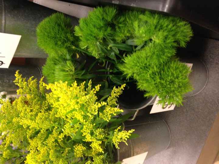 DIY Bouquets and Centerpieces in Primarily Green - Ideas/Thoughts?