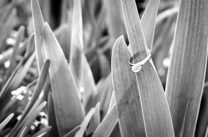 We haven't had any ring porn in awhile...