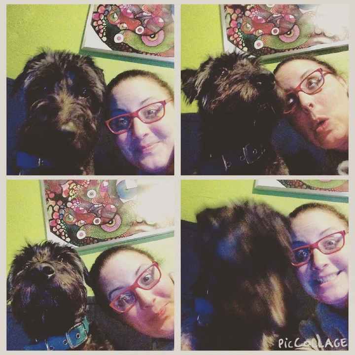 NWR Wait.....This looks familiar... (furbaby!)