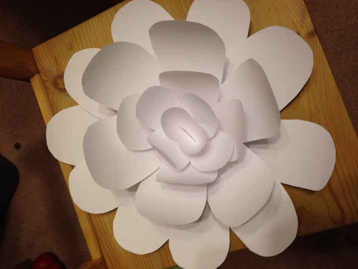 Giant Paper Flowers - Honest Opinions Please