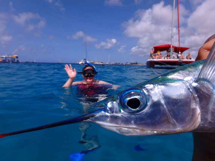 NWR: Favorite Vaca Photos w/ your S/O!