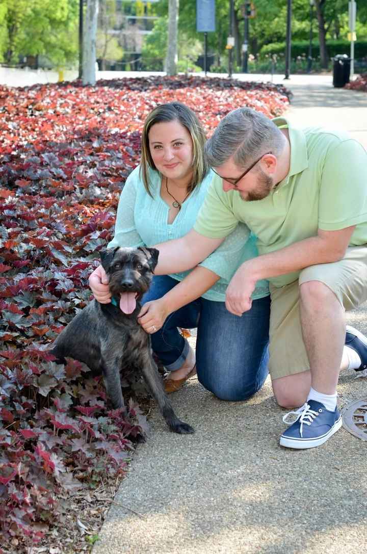 Plus-Sized Engagement Pictures Help