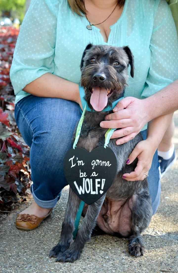 Engagement Shoot Advice