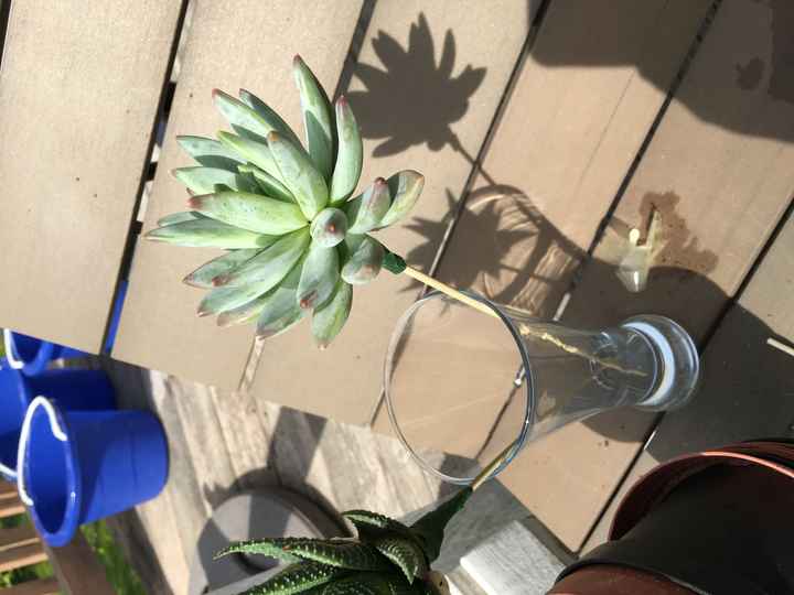 Fifty Flowers - My Experience Doing My Own Florals