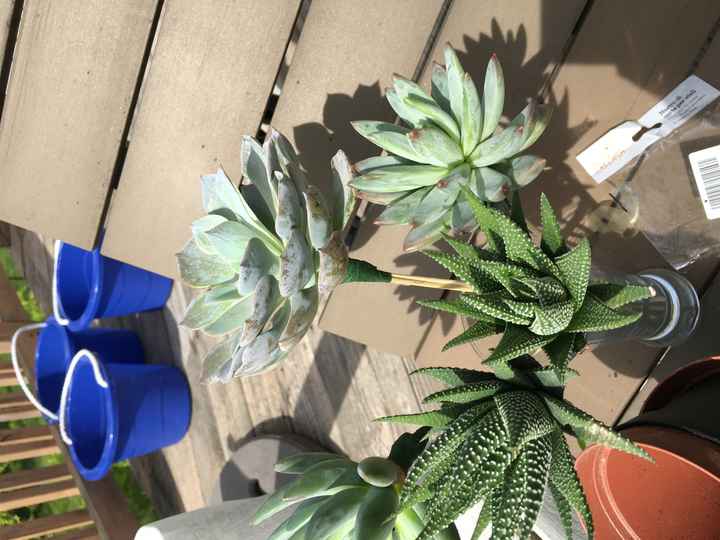 Fifty Flowers - My Experience Doing My Own Florals