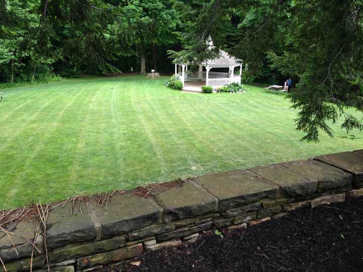 Giant Paper Flowers - Honest Opinions Please