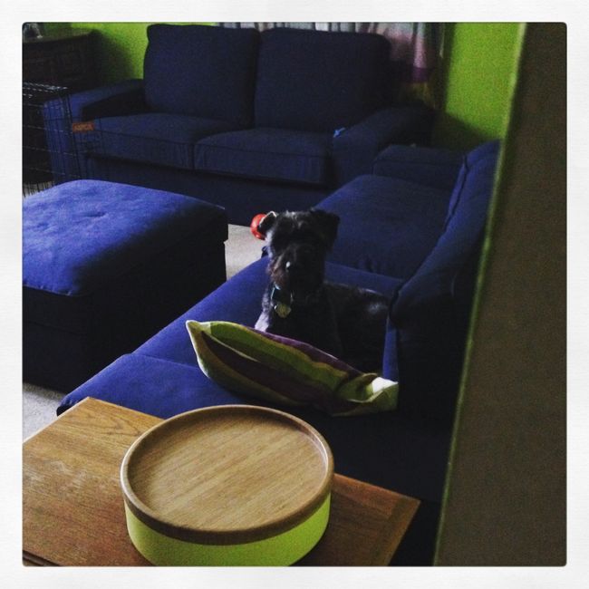 NWR: new furniture