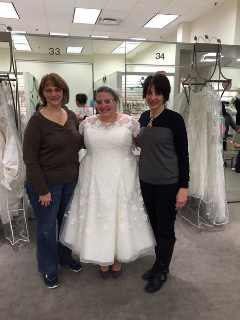 Where are my plus size brides?