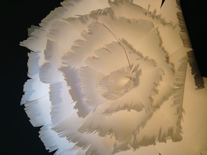Giant Paper Flowers - Honest Opinions Please