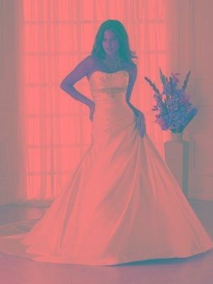 Have you said 'Yes to the dress?'....Share It!!!