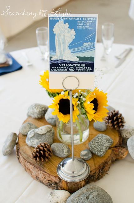 Need Mountain themed wedding decor ideas 13
