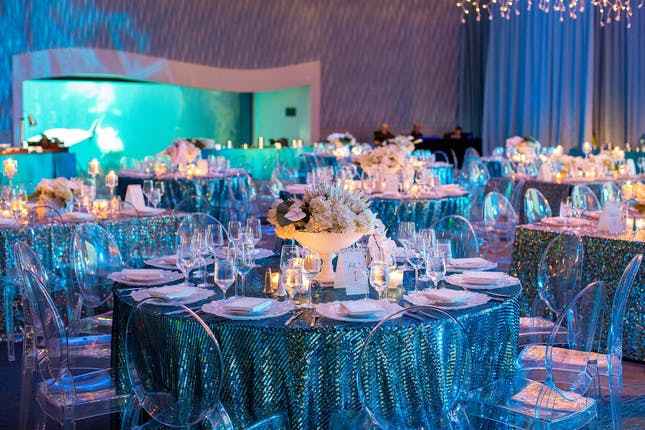 Under the Sea  Sea wedding theme, Aquarium wedding, Sea wedding