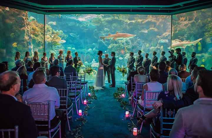 Aquarium Wedding - 3