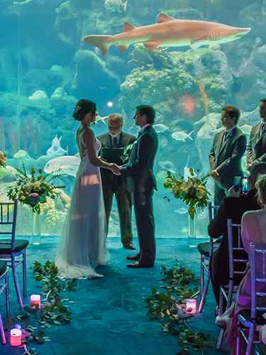 Aquarium Wedding - 4