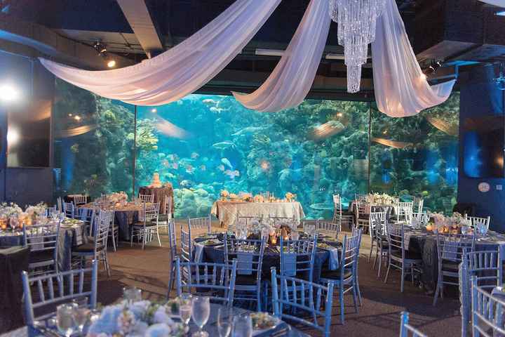 Aquarium Wedding - 5