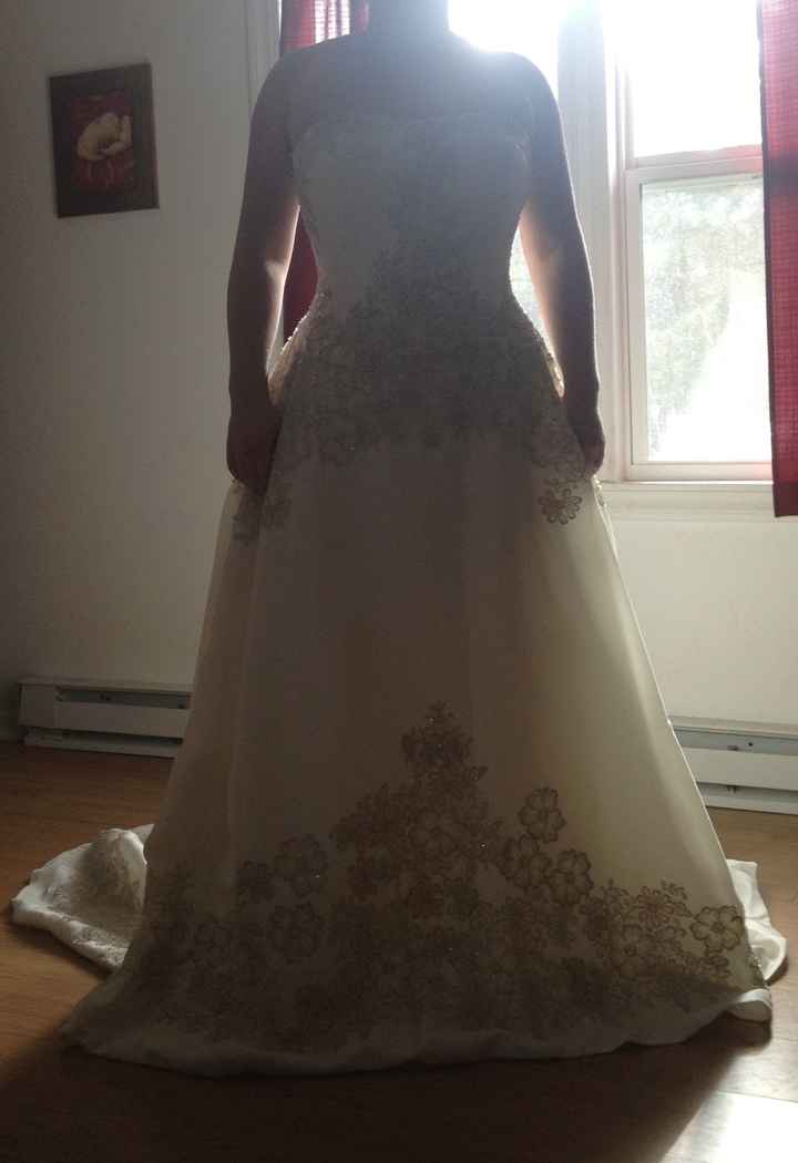 Spin-off! Show me your David's Bridal gowns!