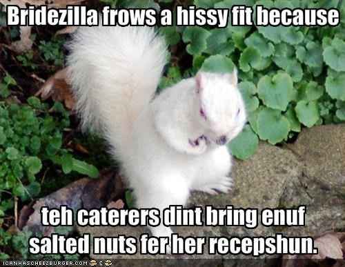 Bridezilla Memes