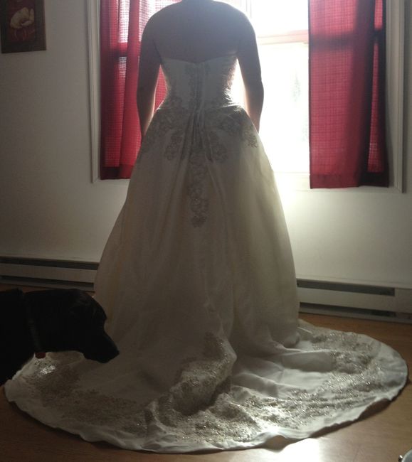 Help me Choose a Dress