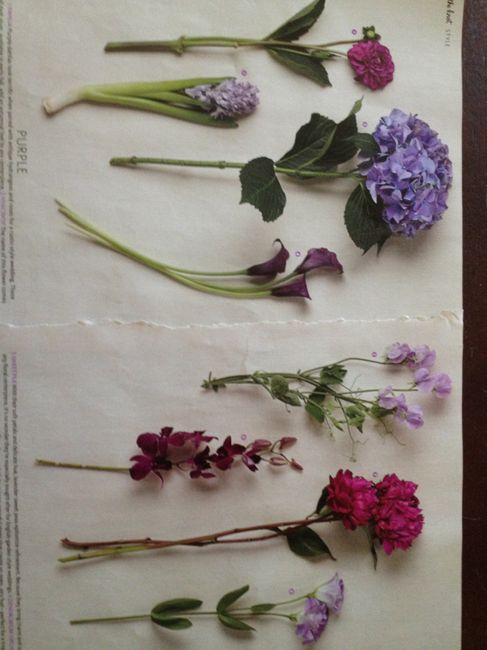 Oy Vey! Flower decisions...