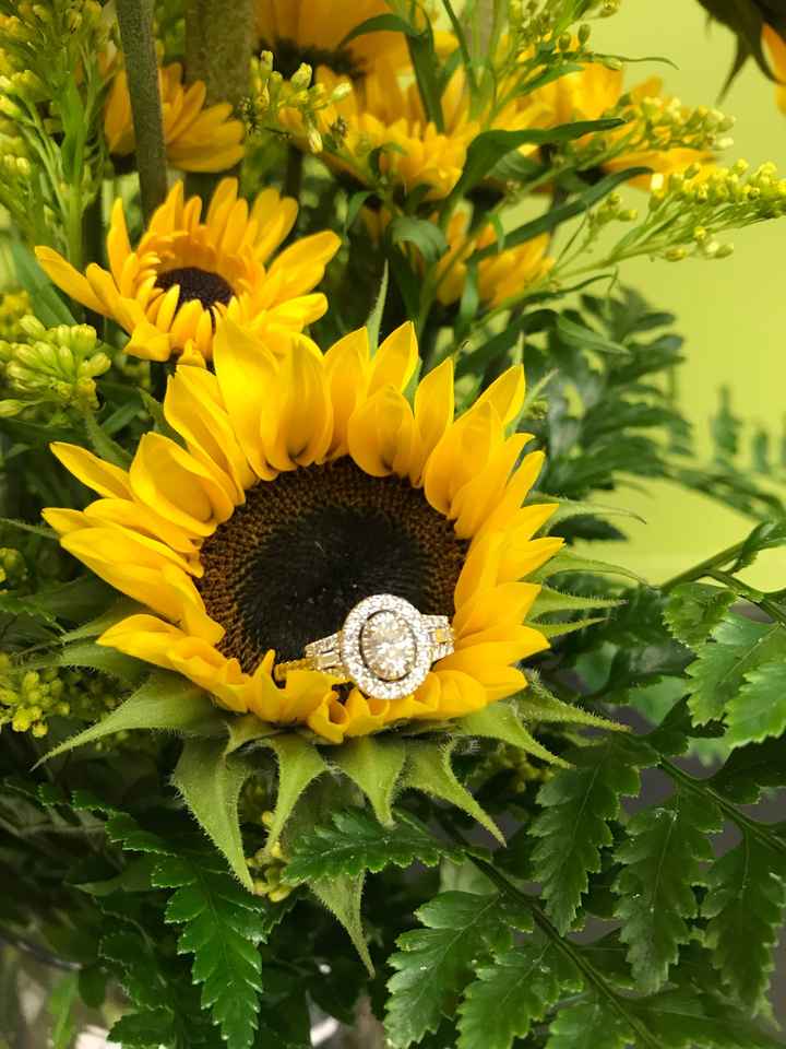Show me the Ring!💍 - 1
