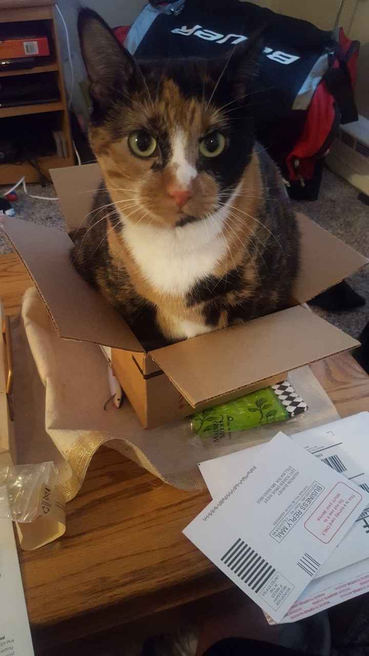 NWR:  Show me your fur babies!