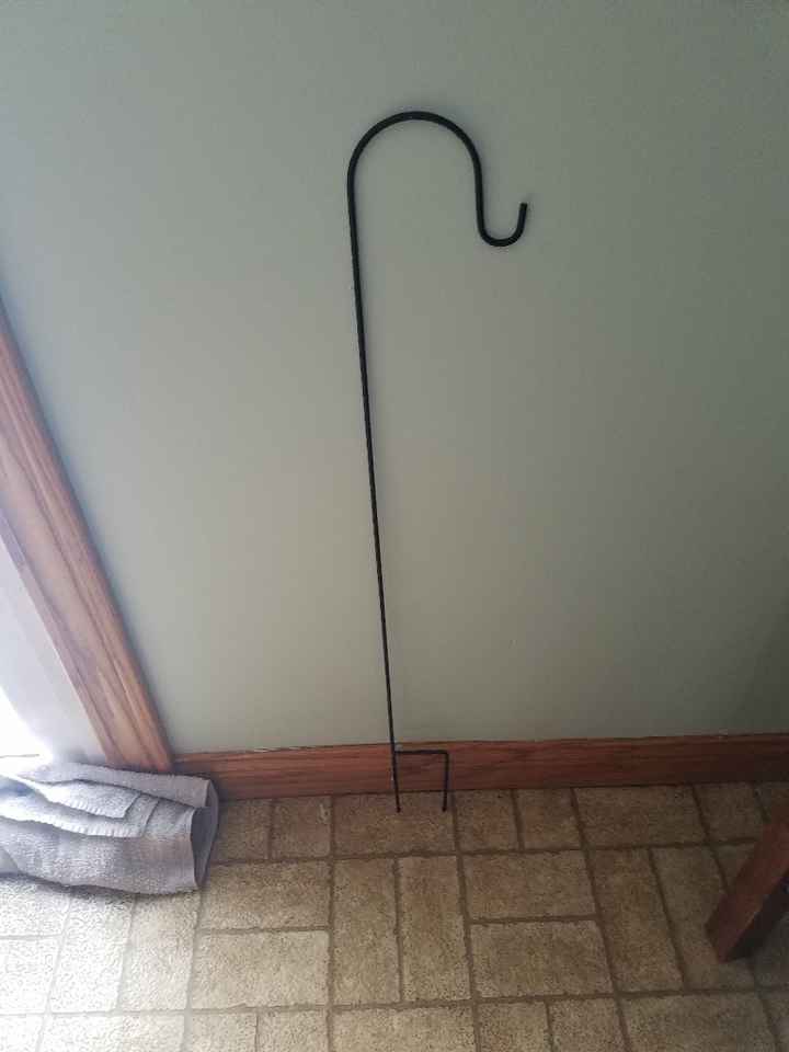 Feeling pretty giddy - 1