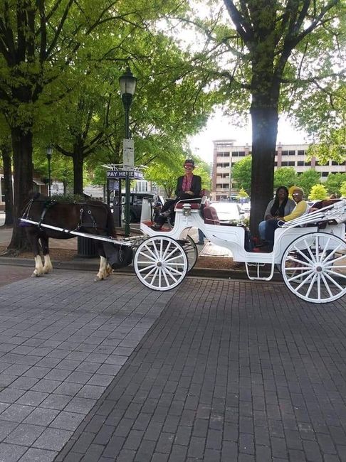 Horse Drawn Proposal....Tennessee Aquairum 