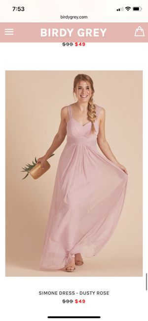 Bridesmaid dresses (dusty rose or mauve) 6