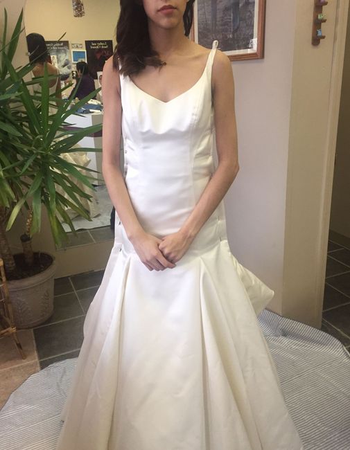 Dress fitting/alterations!