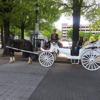 Horse Drawn Proposal....Tennessee Aquairum 