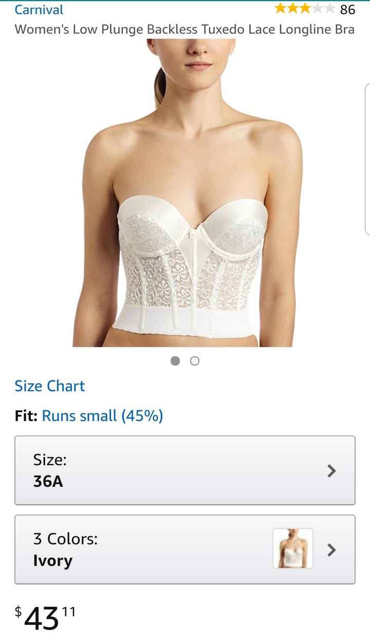 Strapless or Corset - 1