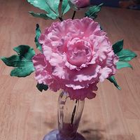 Gaining the best FFIL ever!!!!