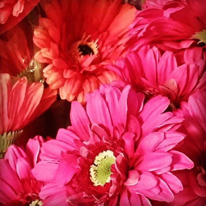 bouquets are expensive lol