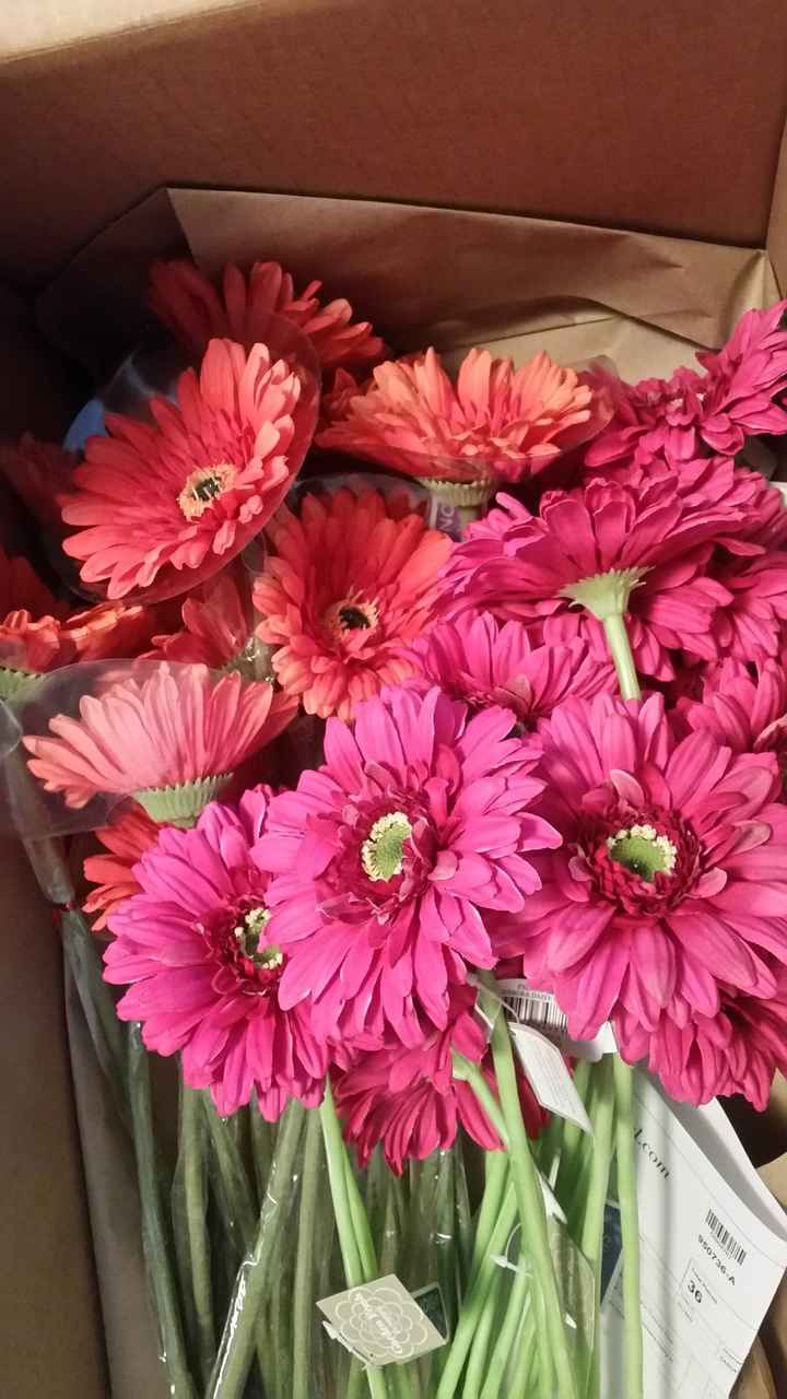 Fake or Real Flowers...?