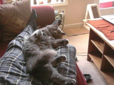 *NWR* Show me your pets/animals! *PICS*