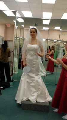 What style veil with your dress? pics if you have em please!