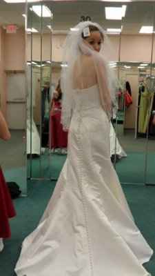 What style veil with your dress? pics if you have em please!