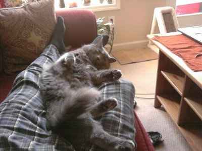 *NWR* Show me your pets/animals! *PICS*