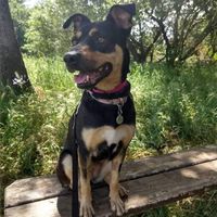 ~30 days out! 😲🥳 - 1