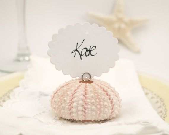 Help Choosing a Wedding Favor