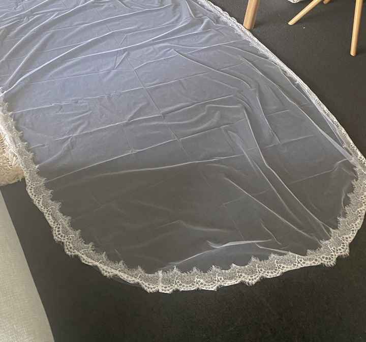 Veil is Curling Up, Help! - 1