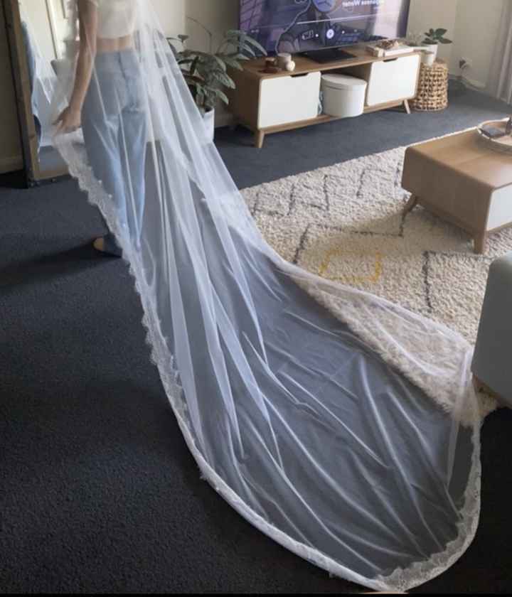 Veil is Curling Up, Help! - 2