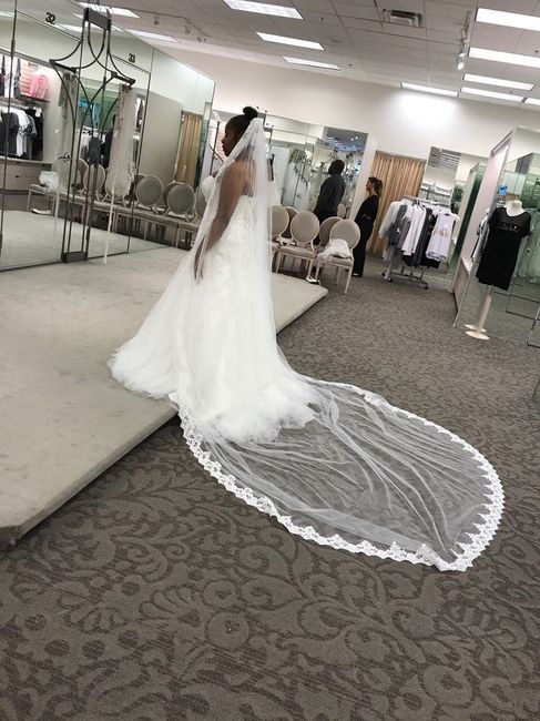 To veil or not to veil.