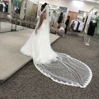 To veil or not to veil.