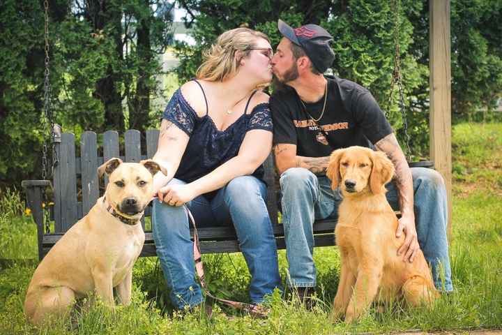 Dog engagement pictures - 1